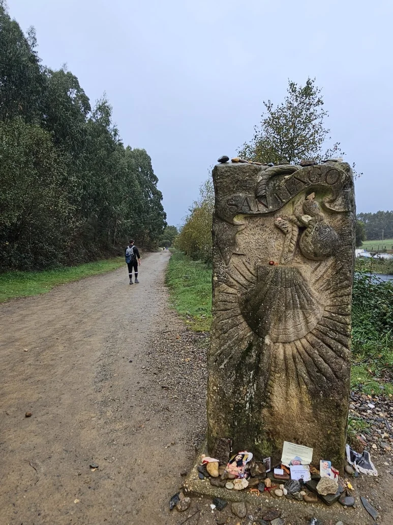 20251021_093307.jpg?type=w773