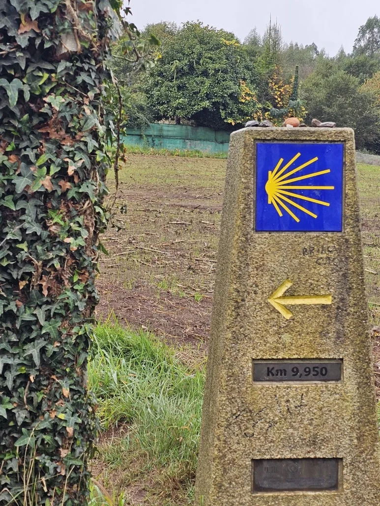 20251021_110518.jpg?type=w773