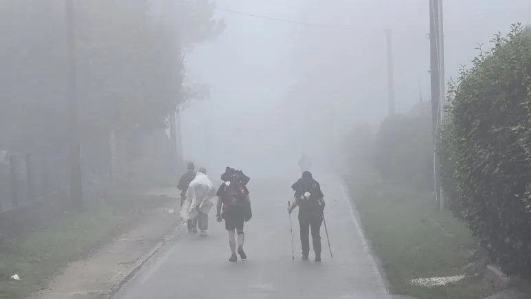 1761064934756.jpg?type=w773