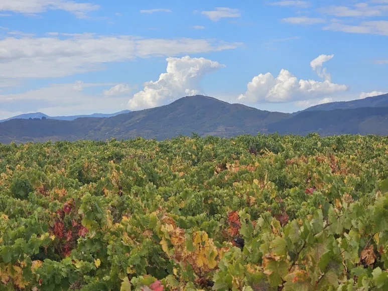 20251013_132251.jpg?type=w773