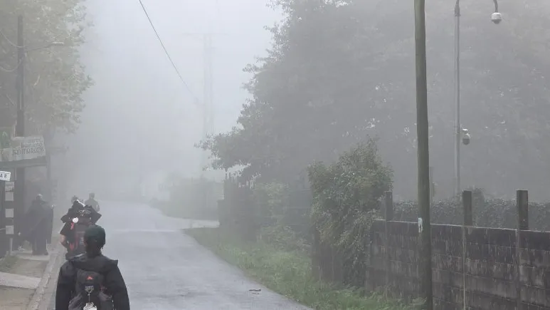 1761064919474.jpg?type=w773