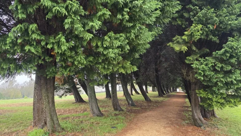 1761064979689.jpg?type=w773