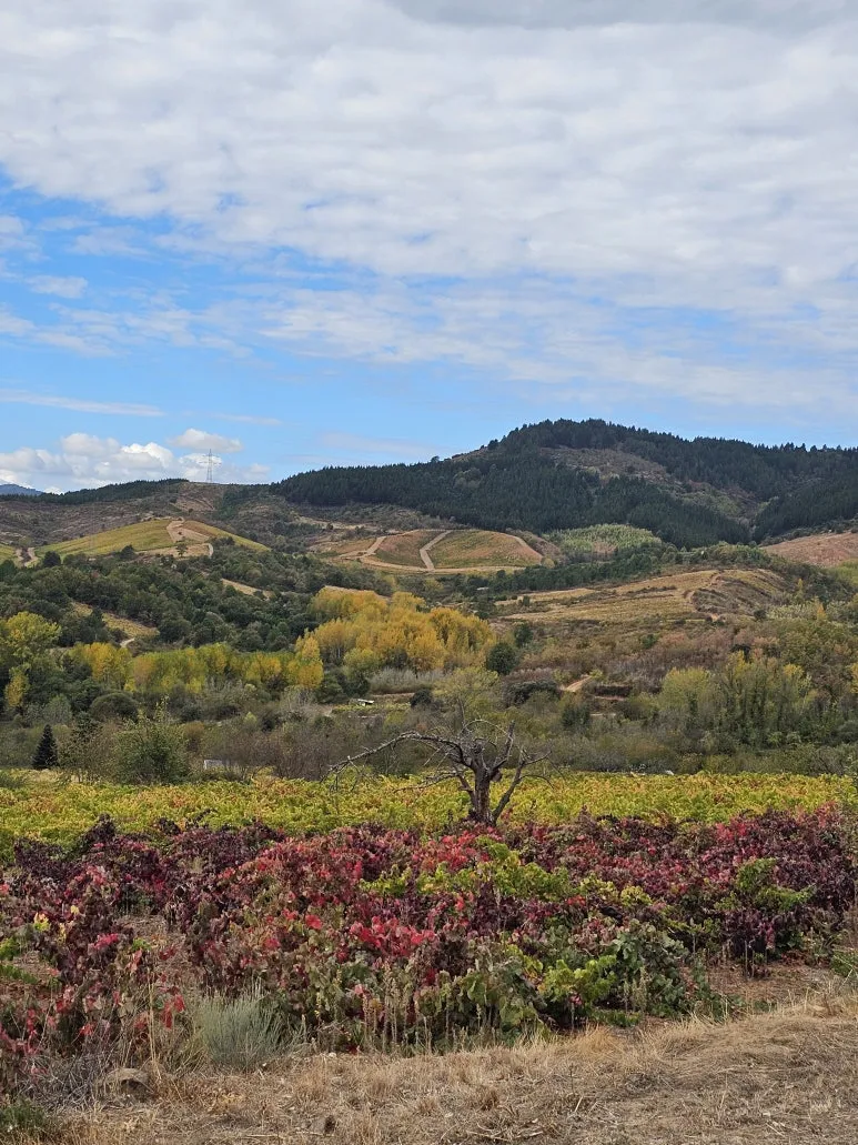 20251013_133205.jpg?type=w773