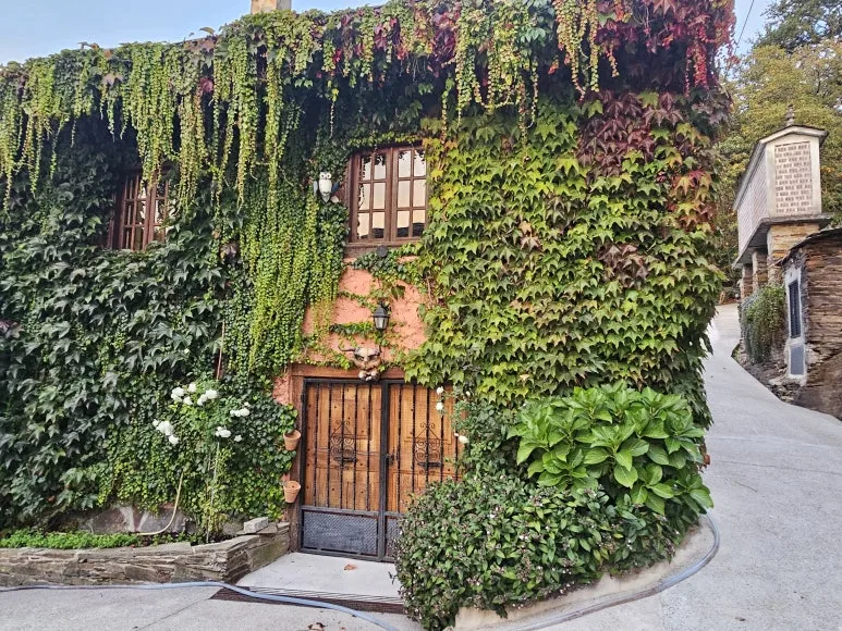 20251016_085203.jpg?type=w773