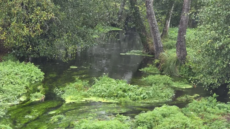 1761637655725.jpg?type=w773