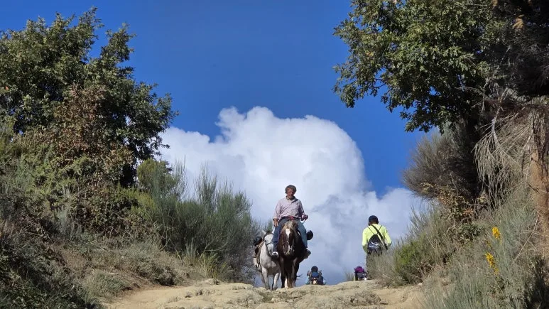 1760506243174.jpg?type=w773