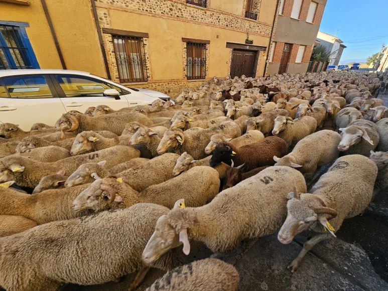 20251010_095629.jpg?type=w773