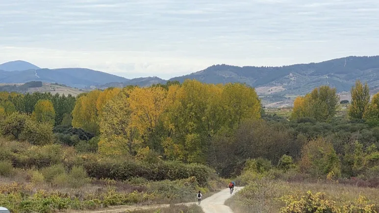 1760469776599.jpg?type=w773