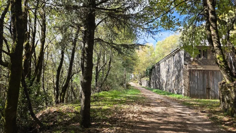 1760505881857.jpg?type=w773