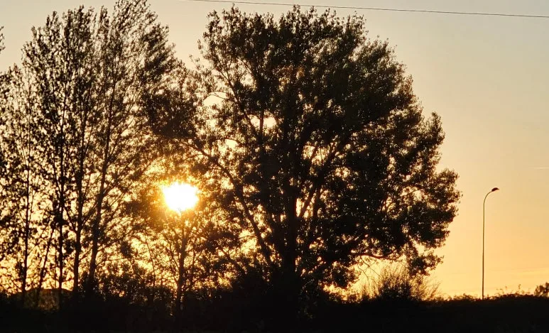 SE-7679da0e-54cf-47e3-8d20-aa3e52cccb63.jpg?type=w773