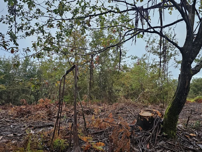 20251021_091341.jpg?type=w773