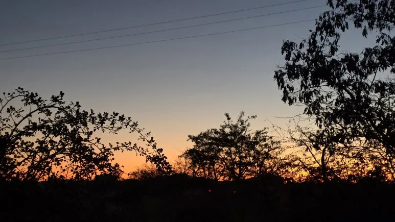 1760118617709.jpg?type=w773