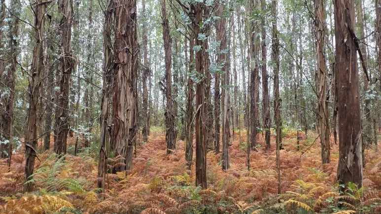 1760974910934.jpg?type=w773