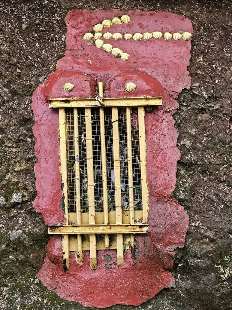 20251021_110640.jpg?type=w773