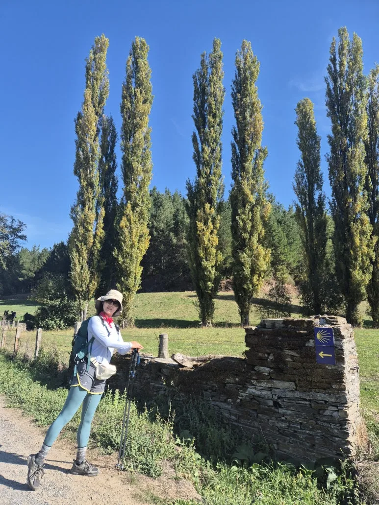 1760642037430.jpg?type=w773