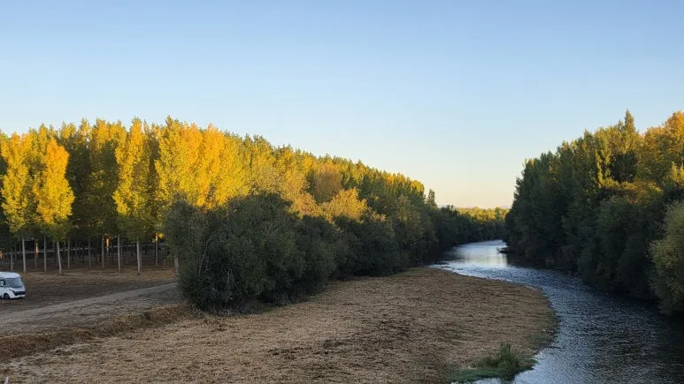 1760118729684.jpg?type=w773