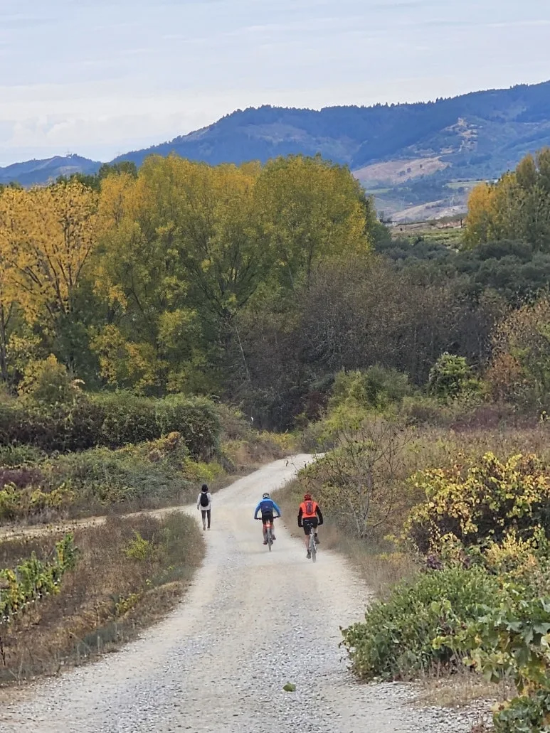 20251013_101821.jpg?type=w773