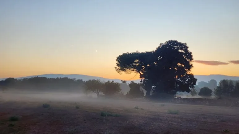 1760716361900.jpg?type=w773