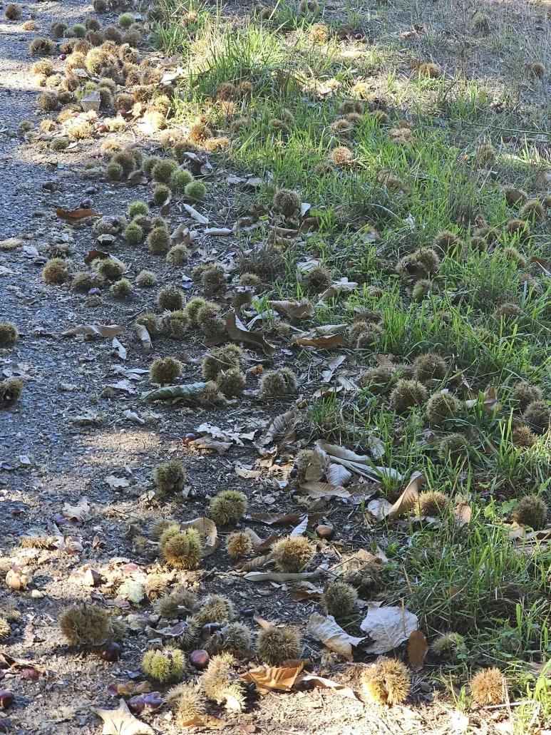 20251016_125628.jpg?type=w773