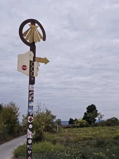 20251013_082833.jpg?type=w386