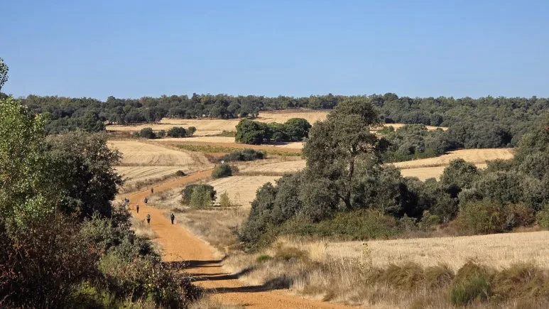 1760118885958.jpg?type=w773