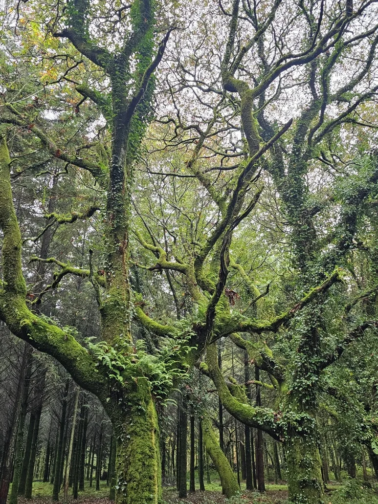 20251021_113557.jpg?type=w773