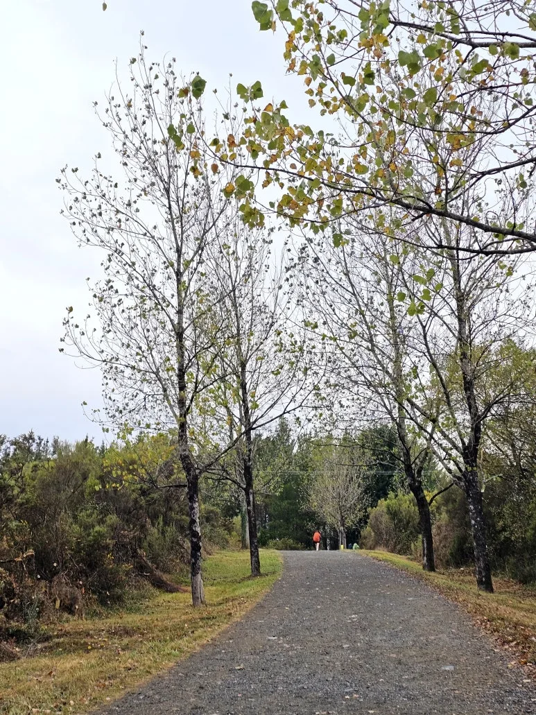 20251019_102823.jpg?type=w773