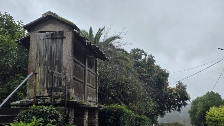 1760975089734.jpg?type=w773