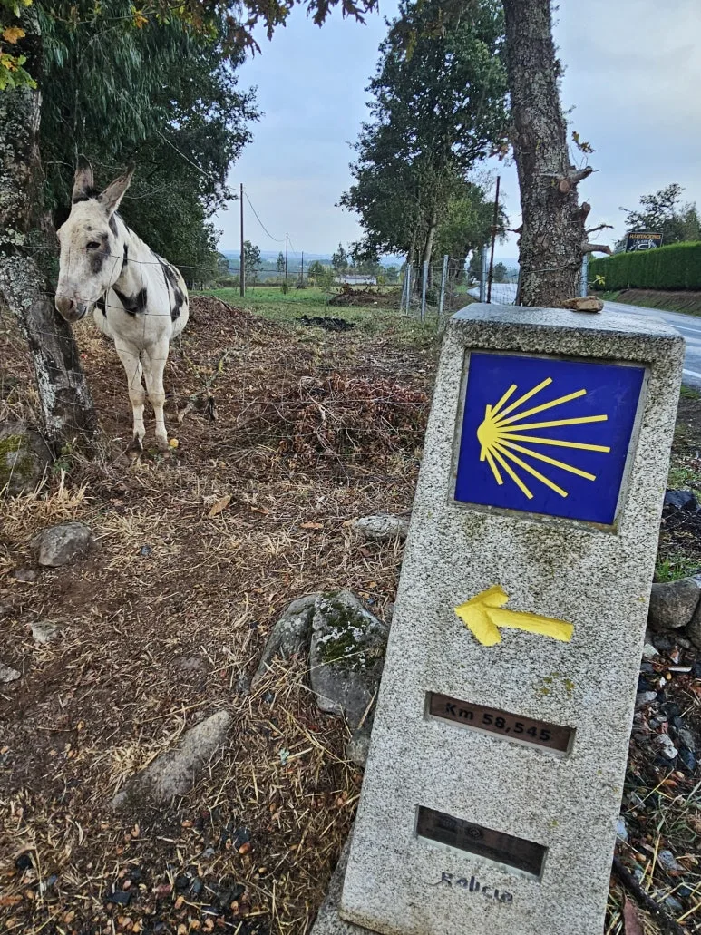 20251019_101019.jpg?type=w773