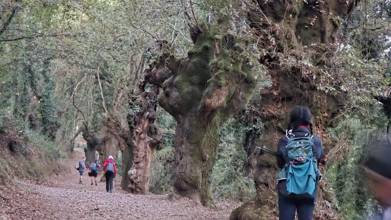 1760717133282.jpg?type=w773