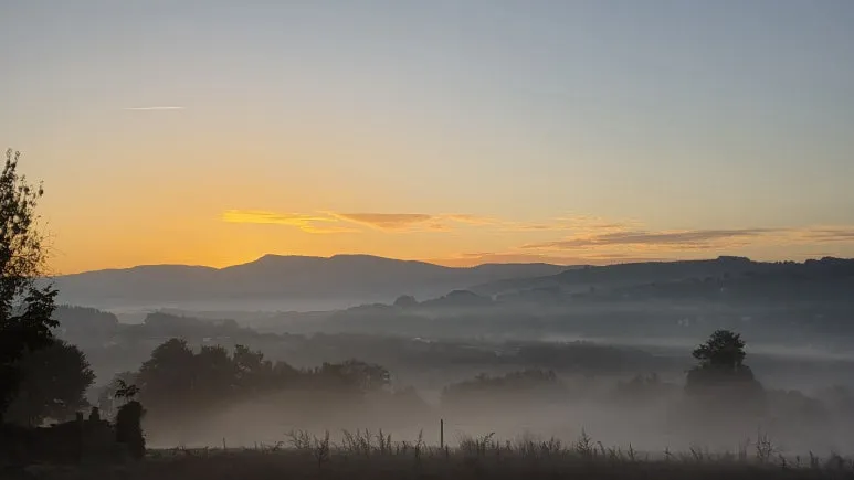 1760717255530.jpg?type=w773