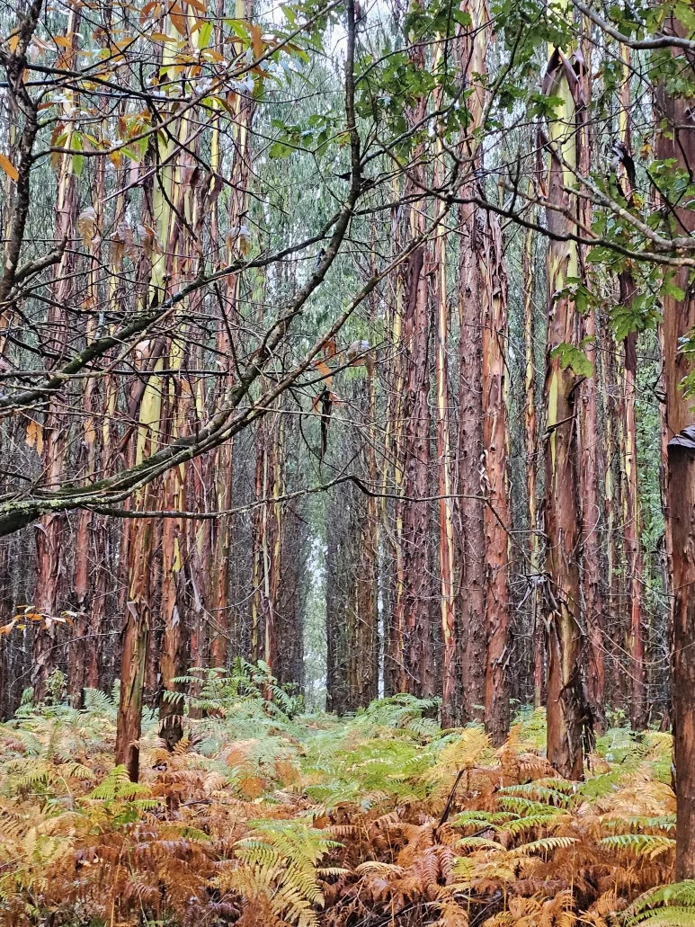 20251021_092858.jpg?type=w773