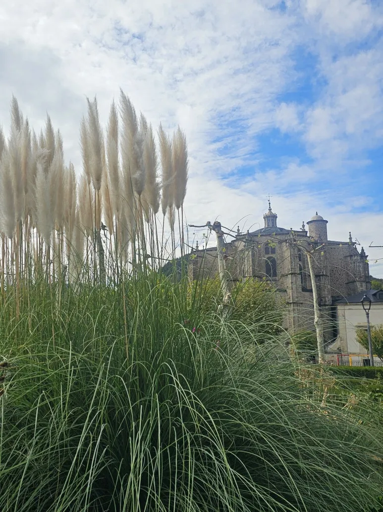 20251013_150259.jpg?type=w773