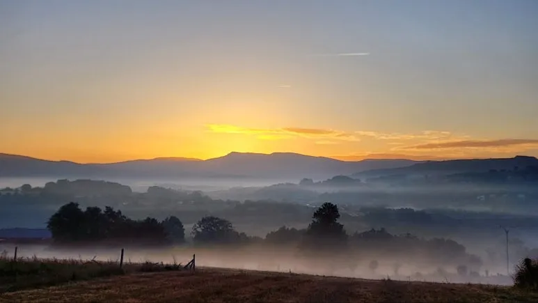 1760716397011.jpg?type=w773