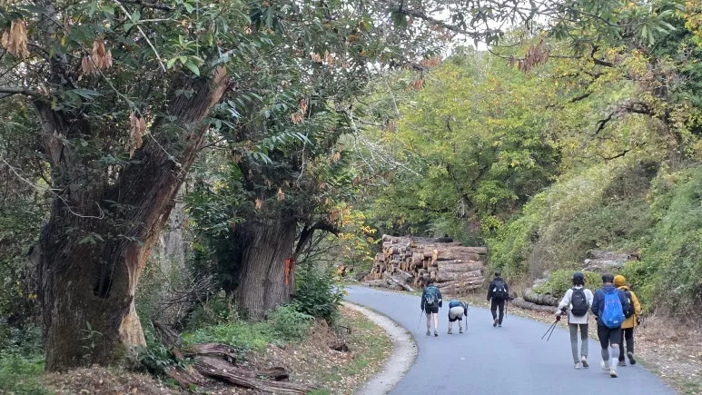 1760470694592.jpg?type=w773