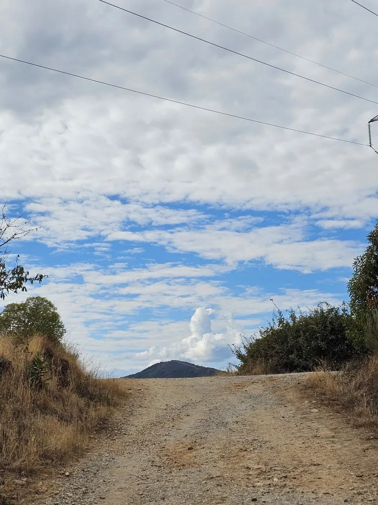 20251013_135232.jpg?type=w773