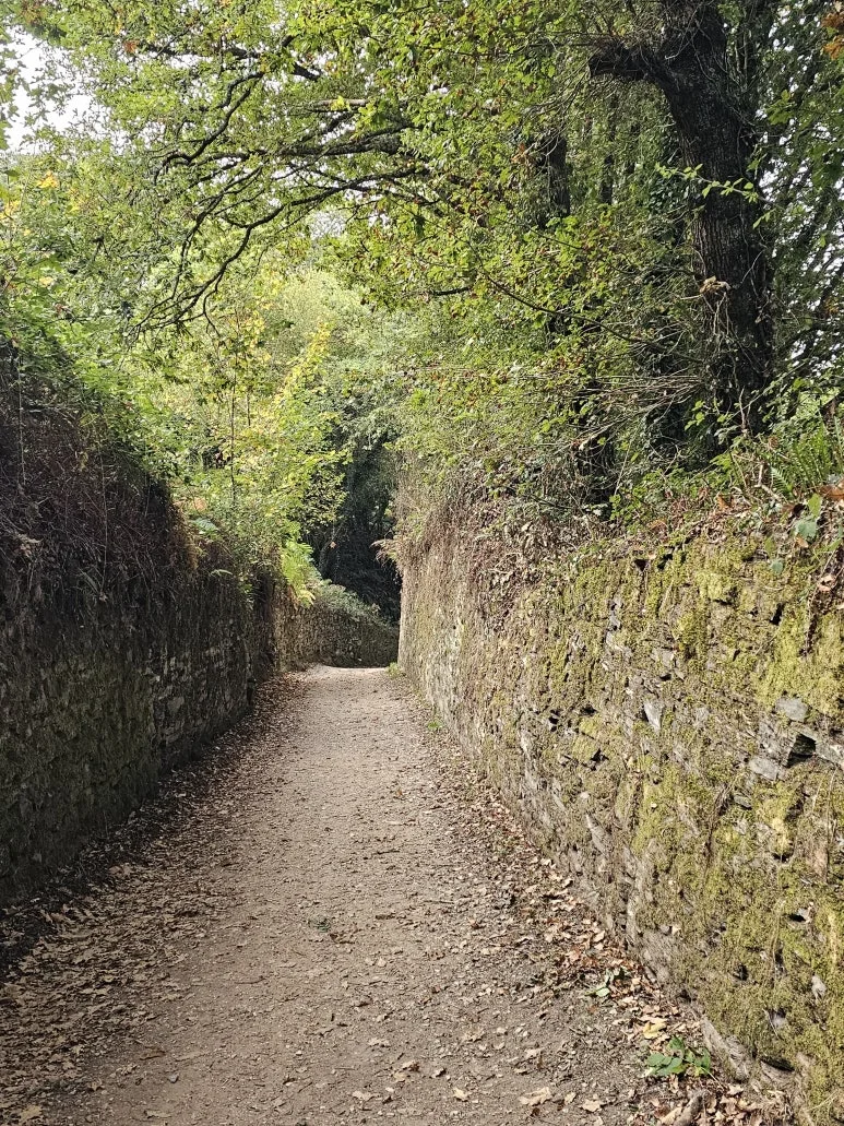 20251016_094303.jpg?type=w773