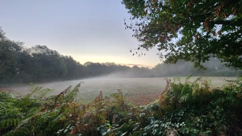 1760716335285.jpg?type=w773