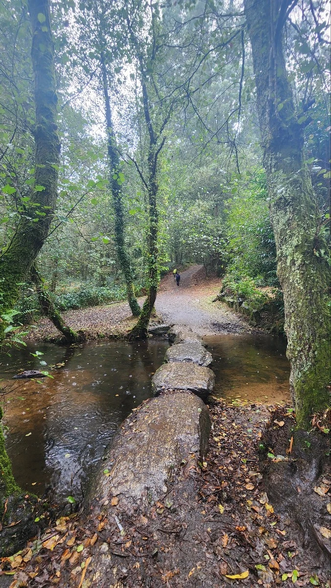 1760890258621.jpg?type=w773