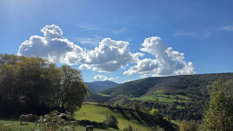 1760506307531.jpg?type=w773