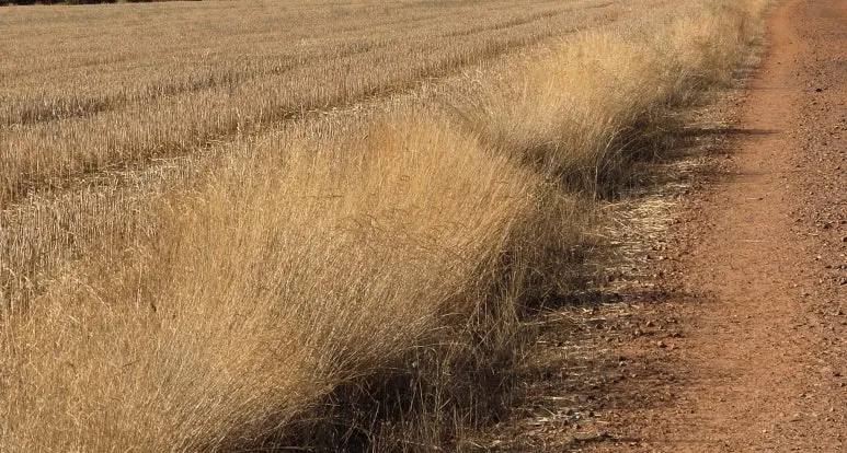 1760118910899.jpg?type=w773