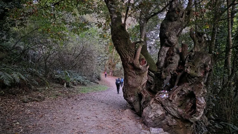 1760717105651.jpg?type=w773