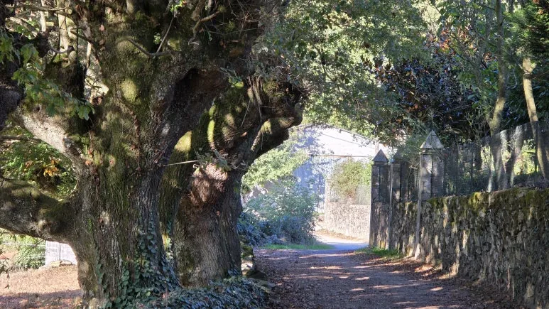 1760717482141.jpg?type=w773