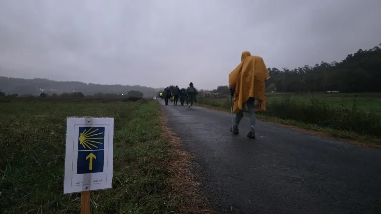 1761063375809.jpg?type=w773