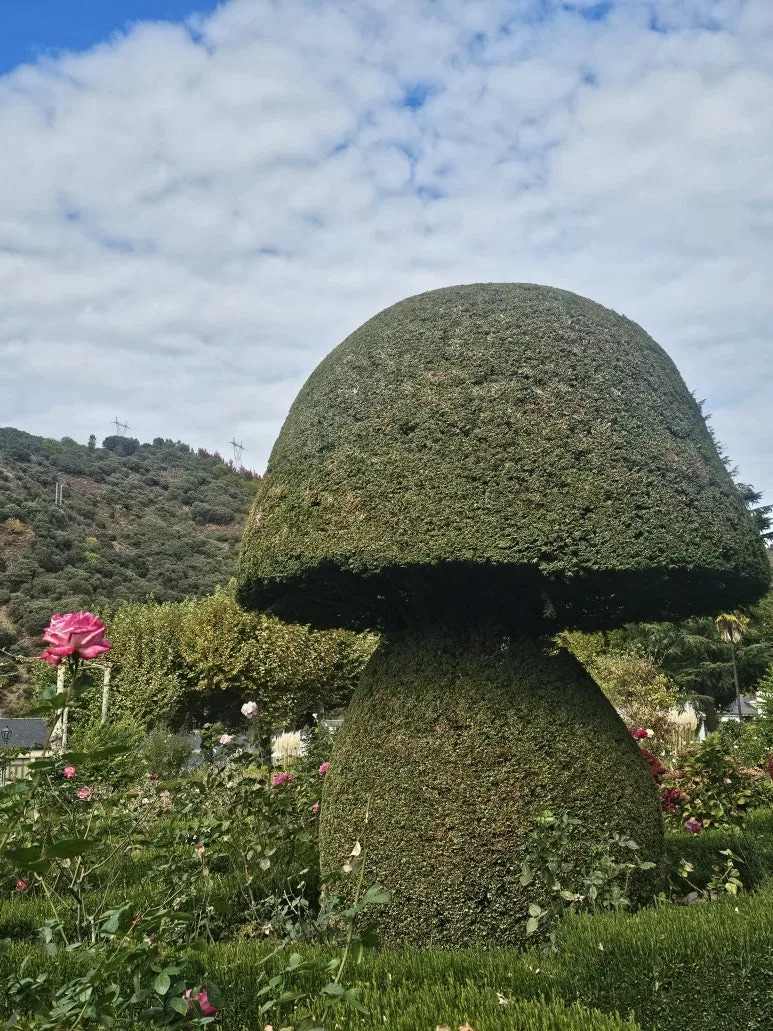 20251013_150158.jpg?type=w773