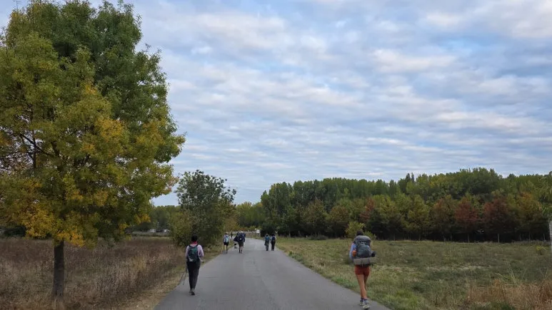 1760470046722.jpg?type=w773