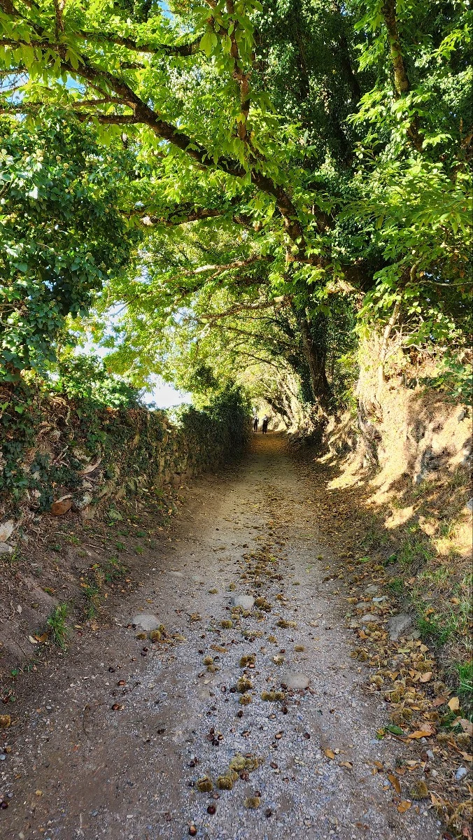 1760716500018.jpg?type=w773