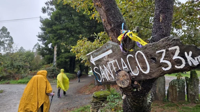 1761637330621.jpg?type=w773