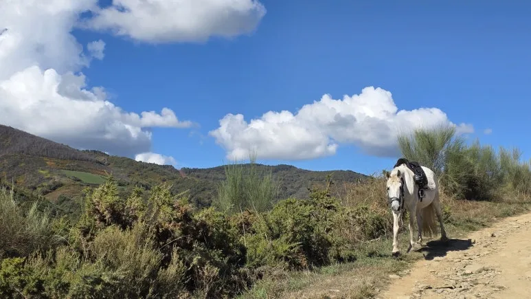 1760506254986.jpg?type=w773