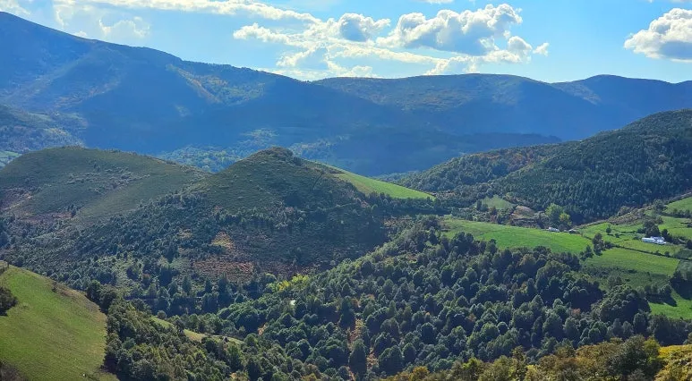 SE-f1c14b95-7543-4f3b-ac5a-badbf9abb6db.jpg?type=w773